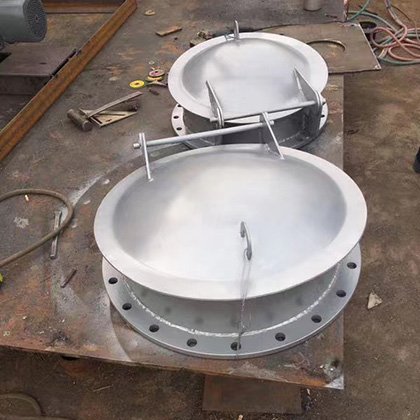 不锈钢拍门 - 河北金禹水利机械有限公司图片2